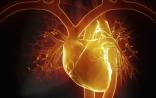 Nature：科学家发现心力衰竭的罪魁祸首