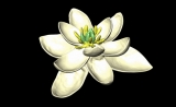 世界上最早的花长什么样？