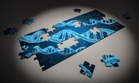 WHO 将制定人类基因组编辑国际治理框架