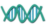 Nature子刊揭示：失智症相关基因网络