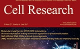 《细胞研究》影响因子升至15.606