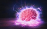 为什么焦虑？大脑深处有一群细胞在“作怪”| Neuron