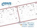 INTAVIS CelluSpots™ 定制化多肽芯片