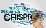 CRISPR和这三家初创生物技术公司，能消灭上万种疾病吗？