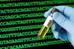 系列 |精准医学的精准报道：精准医疗的短期目标和长期目标
