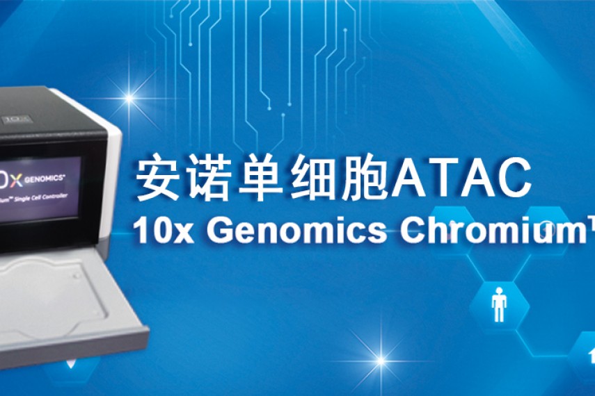 单细胞 ATAC强强联手