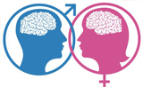 PNAS：男性与女性的大脑调节社交行为方式相反