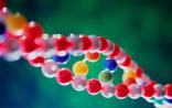 基因检测临床应用领域逐步拓宽