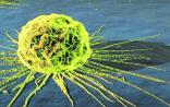 能“饿死”癌细胞的科技离我们还远吗？