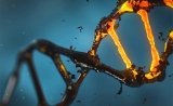 “CRISPR导致基因突变”研究结论有错？ 两大基因编辑公司要求《自然》撤销论