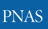 抗癌新证据！维生素A衍生物可杀死癌症干细胞 | PNAS