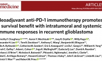 Nature Medicine|背靠背文章证实抗PD-1抗体作为胶质瘤新辅助疗法或有助治疗