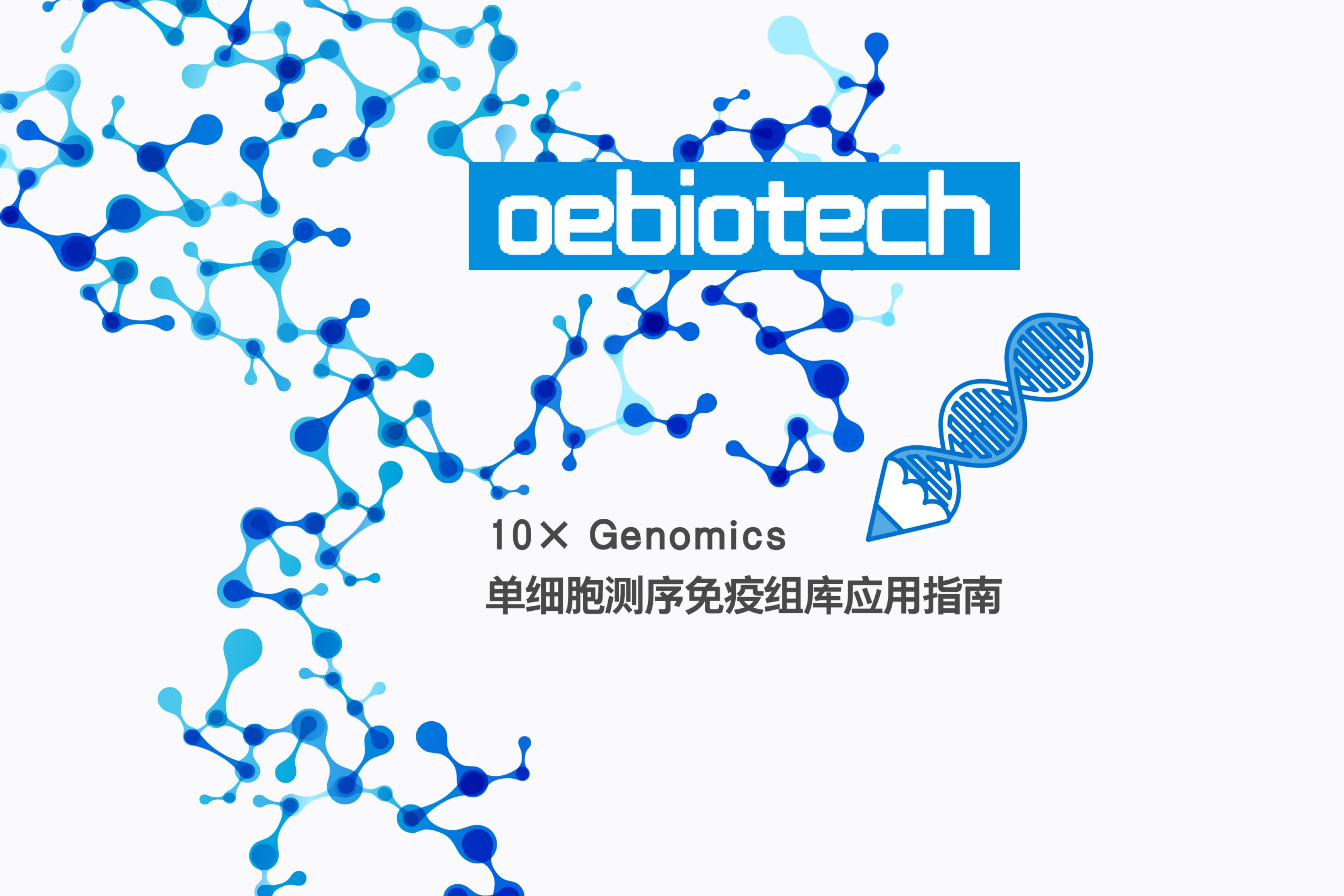 10× Genomics单细胞测序在免疫组库研究中的应用