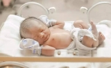 子宫外维持早产动物发育时间获得新突破，人造子宫还有多远？