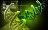 站在风口浪尖的肿瘤生物免疫疗法