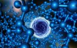 【IOM报告】启动精准医学的关键：生物标记物检测相关的10个目标
