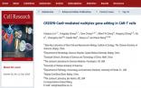 我国科学家利用CRISPR-Cas9技术在CAR-T细胞中实现多基因编辑