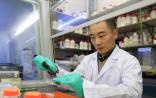 Nature：黄志伟研究组破解艾滋病病毒研究30年谜团