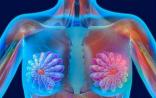 PNAS：乳腺癌“靶向药物”获突破性进展