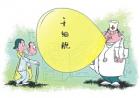 干细胞疗法：是真正的承诺还是一个虚假的希望？