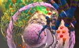 Cell：如何让免疫疗法更有效？基因检测了解一下！