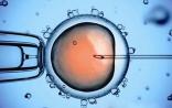 JAMA Pediatr：试管婴儿的孩子出生缺陷更高？