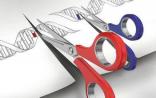 BioTech：2015医械领域最受欢迎的4大新闻