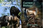 为什么说《Current Biology》不是什么正经杂志？