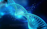 便携式细胞仪“平民化”基因疗法，加速2.0时代！