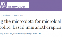 Nature深度综述：治疗癌症和免疫疾病，我们离成功微生物疗法还有多远？
