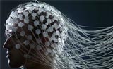 PNAS：β波是怎样出现在脑中的