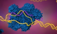 2019年全球十大基因编辑公司，CRISPR“三大先驱”都入选