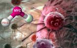 Science揭秘：MYC这个“坏基因”是癌症帮凶！
