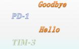 Nature子刊：再见，PD-1！你好，TIM-3！