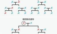 比尔盖茨：为什么基因编辑和人工智能一样值得关注？