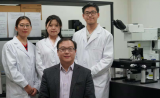 世界首次！中国科学家发表造血干细胞研究突破成果，论文登Nature
