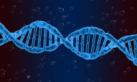 Nature Medicine再发文：贺建奎敲除的CCR5基因究竟会不会导致“短命”呢？