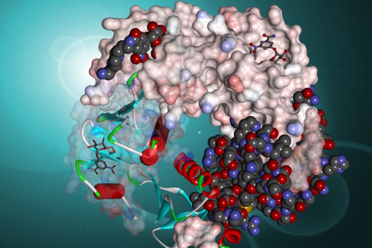 7月Discovery Studio暑期软件技术特训班