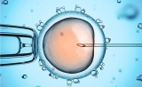 嵌合型胚胎成功妊娠？“底线”取决于染色体异常程度